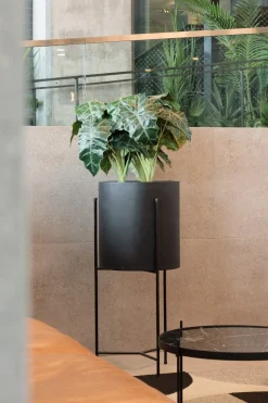 Black metal plant stand