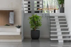 Black plastic outdoor plant pot