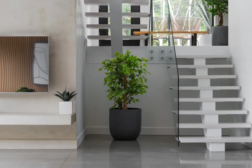 Black plastic outdoor plant pot