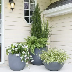 Black plastic outdoor plant pot