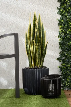 Black washed fibercement planter
