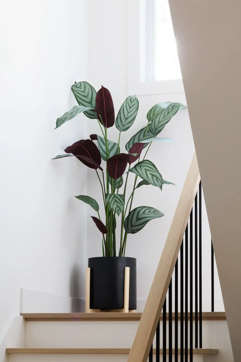 Black wood plant pot stand