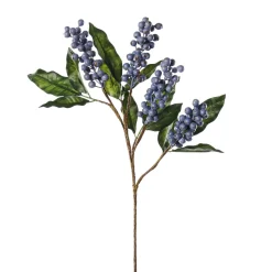 Blue berry cluster stem, 24″