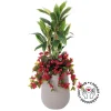 Bougainvillea and cordyline in a grey terrazzo beige pot, 52"