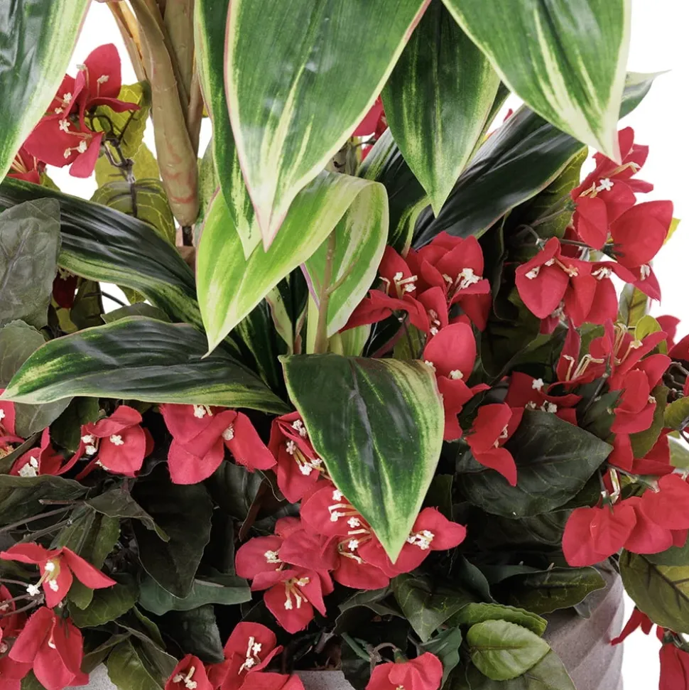 Bougainvillea and cordyline in a grey terrazzo beige pot, 52"