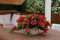 Bougainvillea flower centerpiece, 12 x 15″