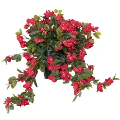 Bougainvillier en pot de culture noir, 28 x 20″