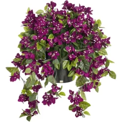 Bougainvillier mauve en pot de culture noir, 28 x 20″