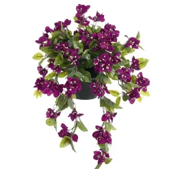 Bougainvillier mauve en pot de culture noir, 22 x 12″