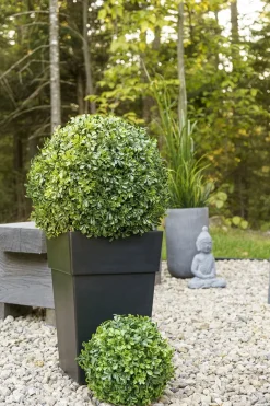 Boule de buis anglais artificiel extérieur, 9″