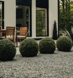 Boule de buis anglais artificiel extérieur, 24″