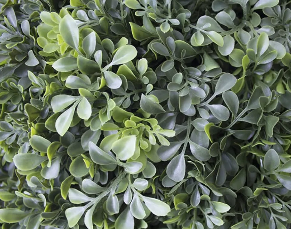 Boule de buis anglais artificiel extérieur, 24″