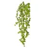 Bouquet of Small Green Hanging Succulents, 22″