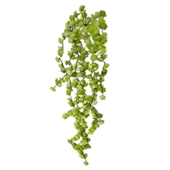 Bouquet of Small Green Hanging Succulents, 22″