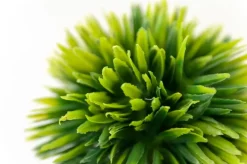 Branche avec boules de pin artificiel, 33″