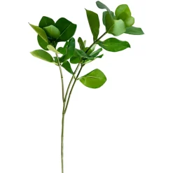 Branche de clusia artificiel, 22″