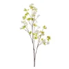 Branche de pêcher en fleurs, 59″