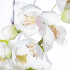 Branche de pêcher en fleurs, 59″