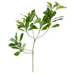 Branche de pittosporum artificiel, 22″