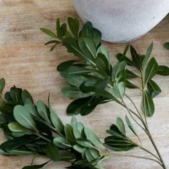 Branche de pittosporum artificiel, 22″