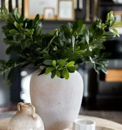 Branche de pittosporum artificiel, 22″