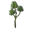 Branche de succulentes vertes artificielles, 12″