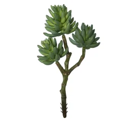 Branche de succulentes vertes artificielles, 12″