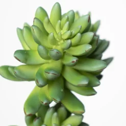 Branche de succulentes vertes artificielles, 12″