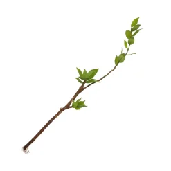 Branche d’arbre printanier artificiel, 30″