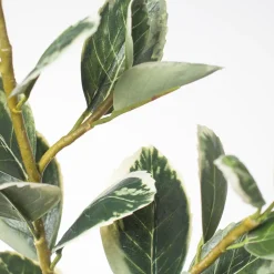 Branche d&rsquo;euphorbe panachée artificielle, 25&Prime;