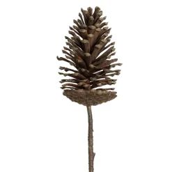 Brown pinecone branch, 28"