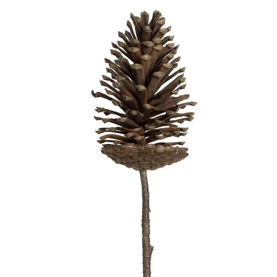 Brown pinecone branch, 28"