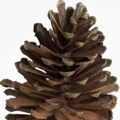 Brown pinecone branch, 28"