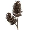 Brown pinecone double branch, 28"