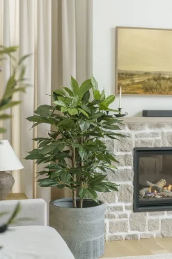 Buisson schefflera artificiel, 48″