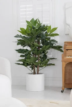 Buisson schefflera artificiel, 48″