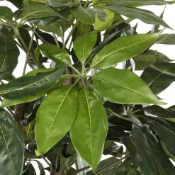 Buisson schefflera artificiel, 48″