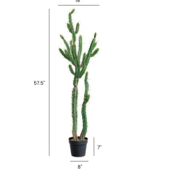 Cactus péruvien artificiel, 57,5″