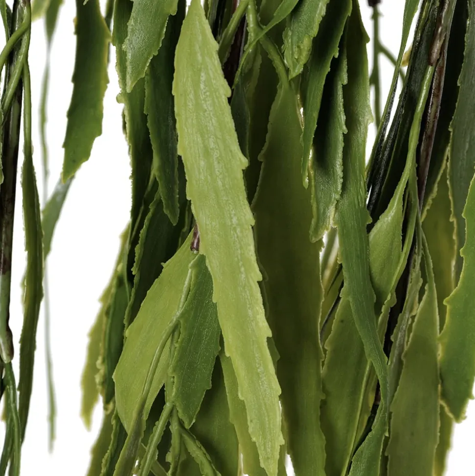 Cactus rhipsalis retombant artificiel, 48″