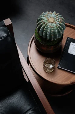 Cactus rond artificiel, 9″