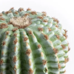 Cactus rond artificiel, 9″