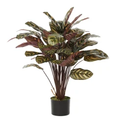 Calathéa makoyana artificiel, 30″