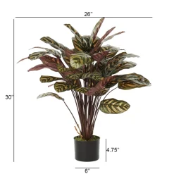 Calathéa makoyana artificiel, 30″