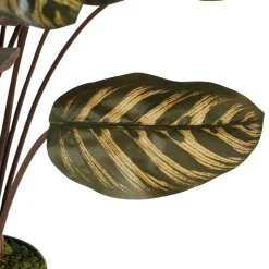 Calathéa makoyana artificiel, 30″