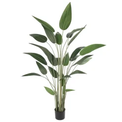 Canna d’eau artificiel, 66″