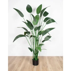 Canna d’eau artificiel, 66″