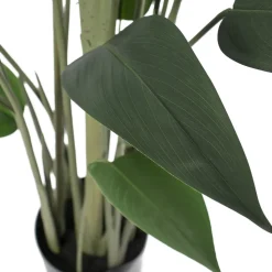 Canna d’eau artificiel, 66″