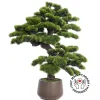 Cascading japanese pine artificial bonsai tree