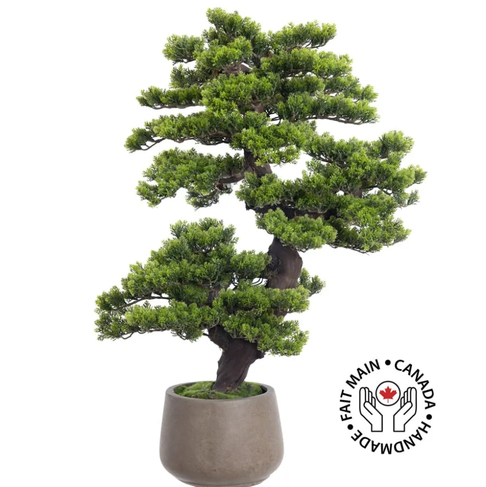Cascading mountain pine artificial bonsai tree