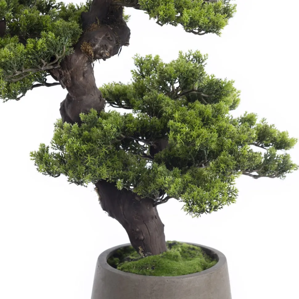 Cascading mountain pine artificial bonsai tree